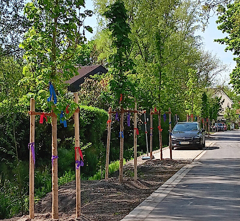 Wiedereröffnung der Rotwandstraße nach Sanierungsmaßnahme